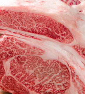 鶏肉